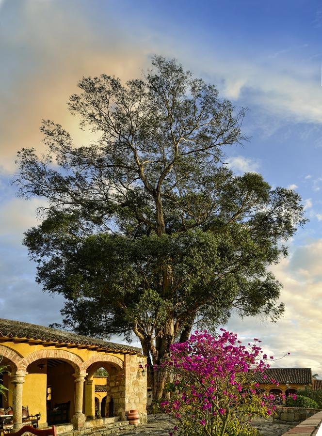 Hotel Hacienda El Salitre Paipa Exteriér fotografie